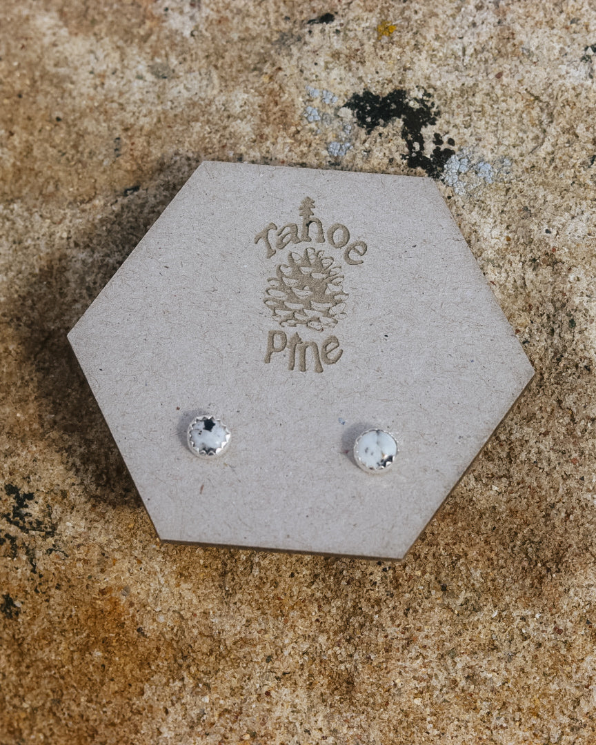 White Buffalo Studs