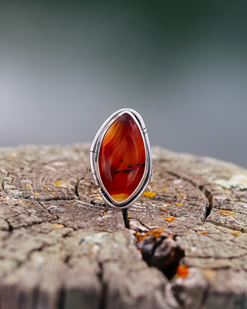 Montana Agate Trout Ring || 8