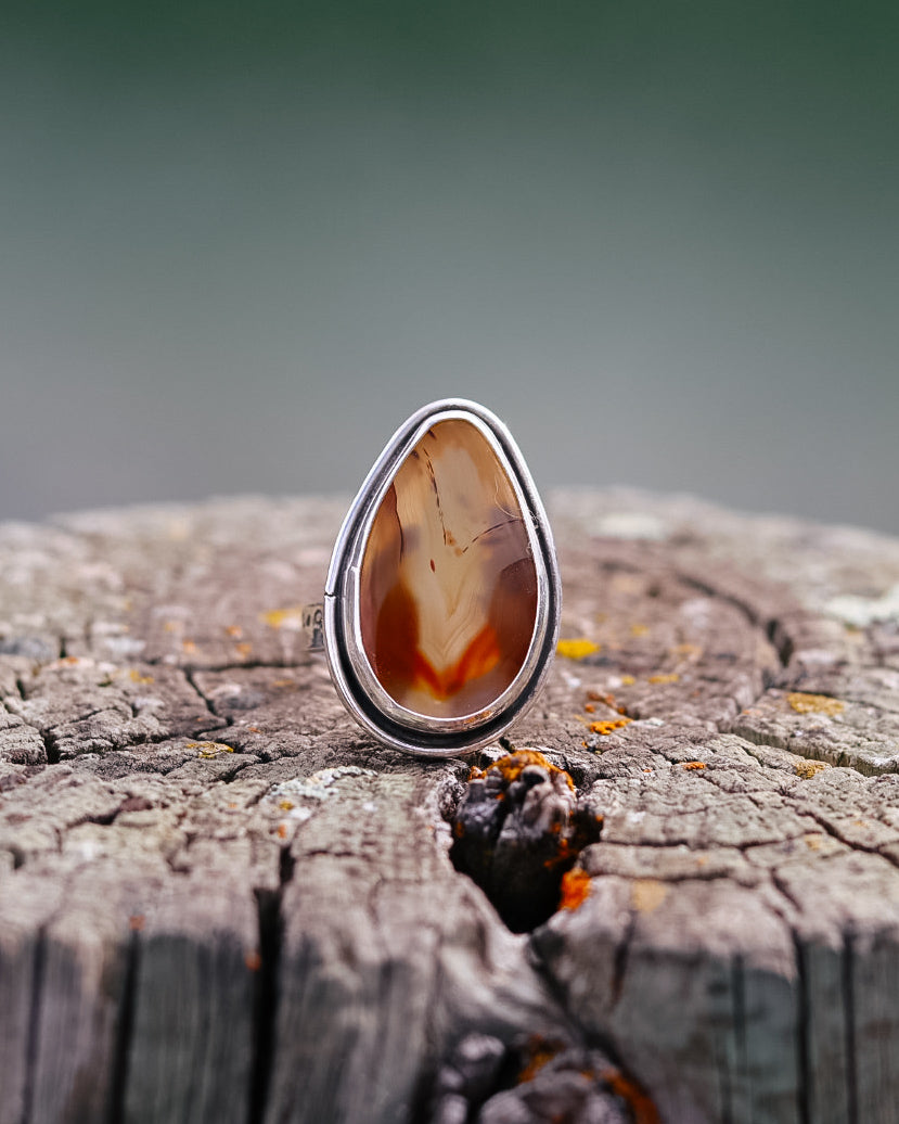 Montana Agate Trout Ring || 7.5