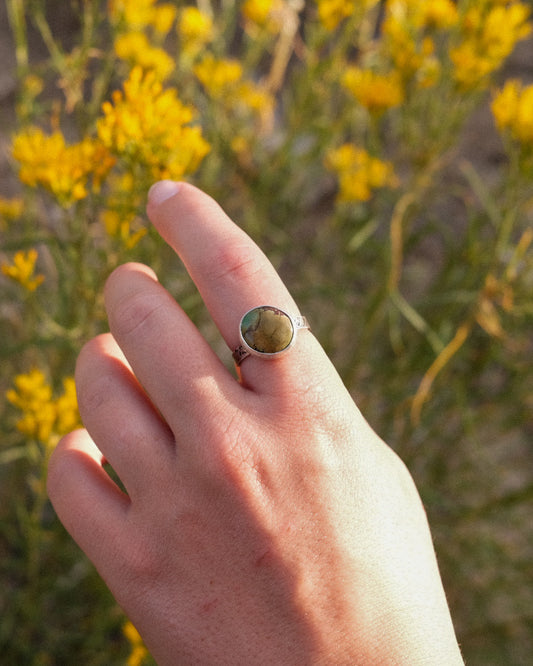 Turquoise Ring || 7.75