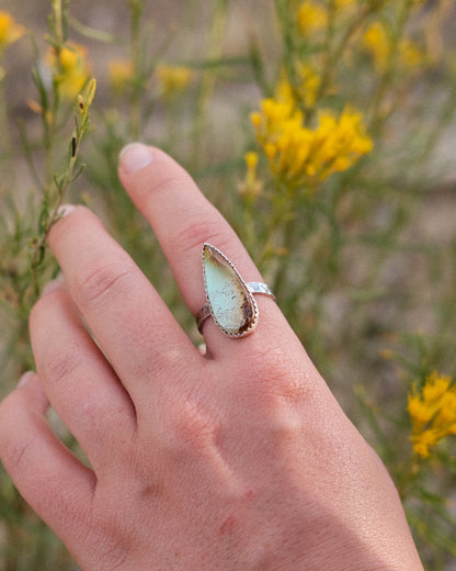 Turquoise Ring || 8