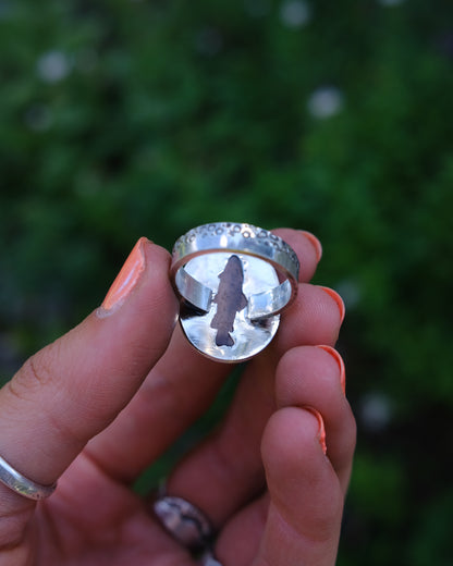Montana Agate Trout Ring || 8.75