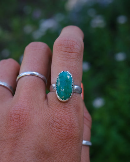 Emerald Valley Turquoise Ring || 7