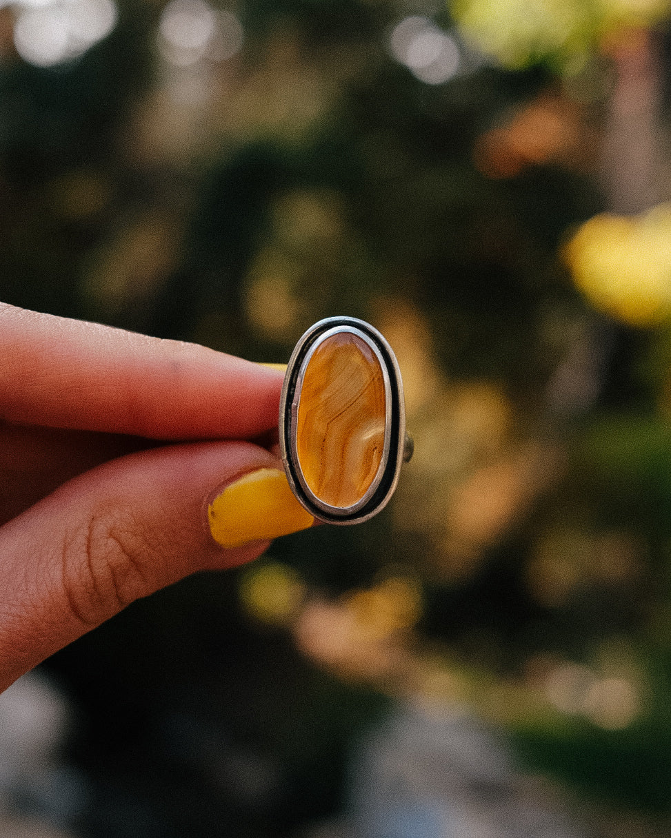 Montana Agate Trout Ring || 8.5