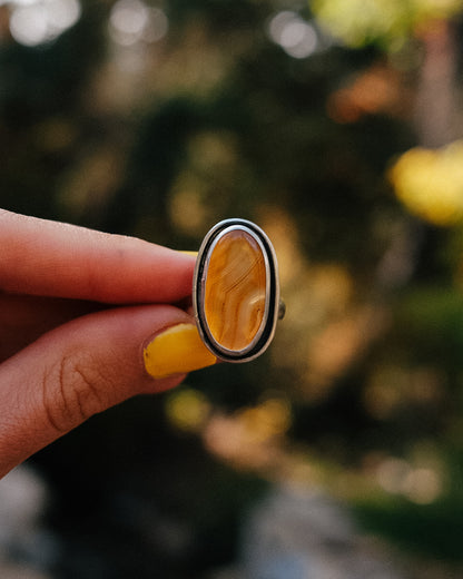 Montana Agate Trout Ring || 8.5
