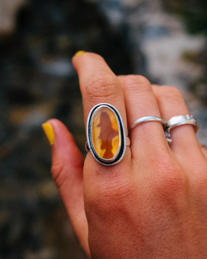 Montana Agate Trout Ring || 8.5