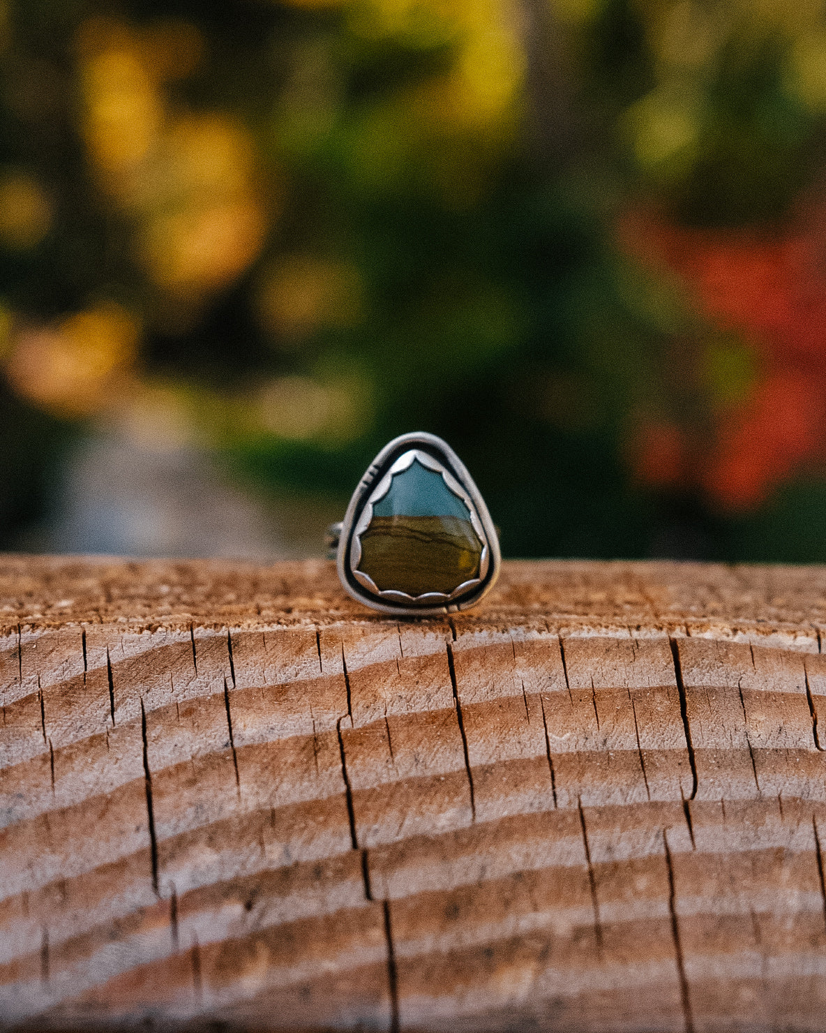 Picture Jasper Ring || 7.75