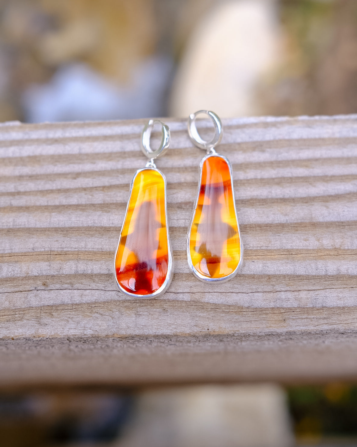Montana Agate Trout Earrings