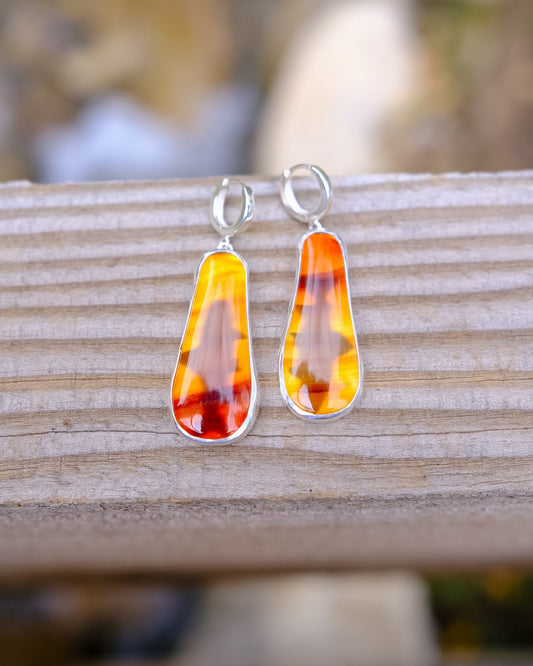 Montana Agate Trout Earrings