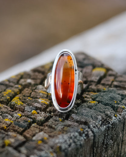 Rainbow Trout Ring || Montana Agate || 6.5