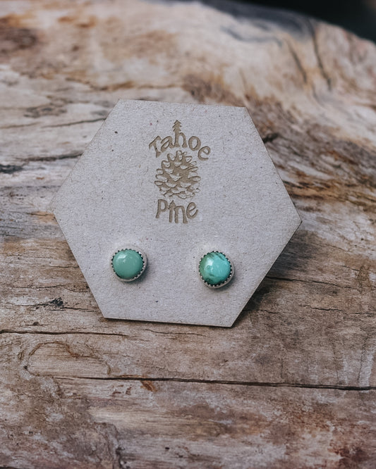 Verde Valley Earrings