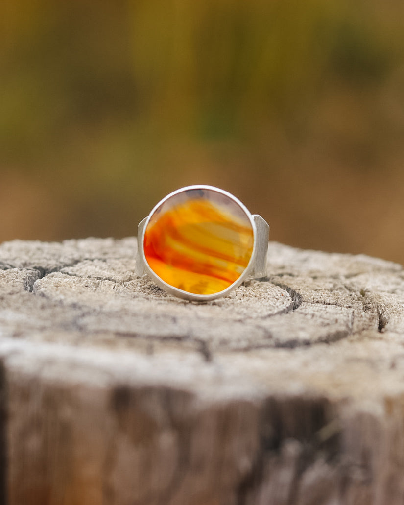 Montana Agate Bear Ring || 6