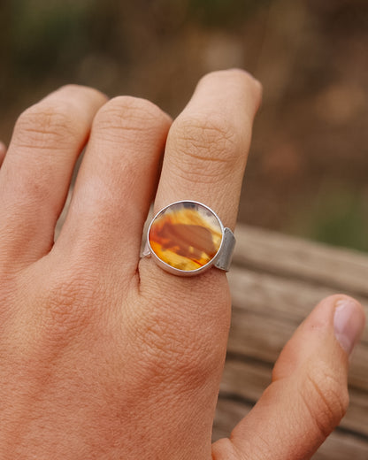 Montana Agate Bear Ring || 6