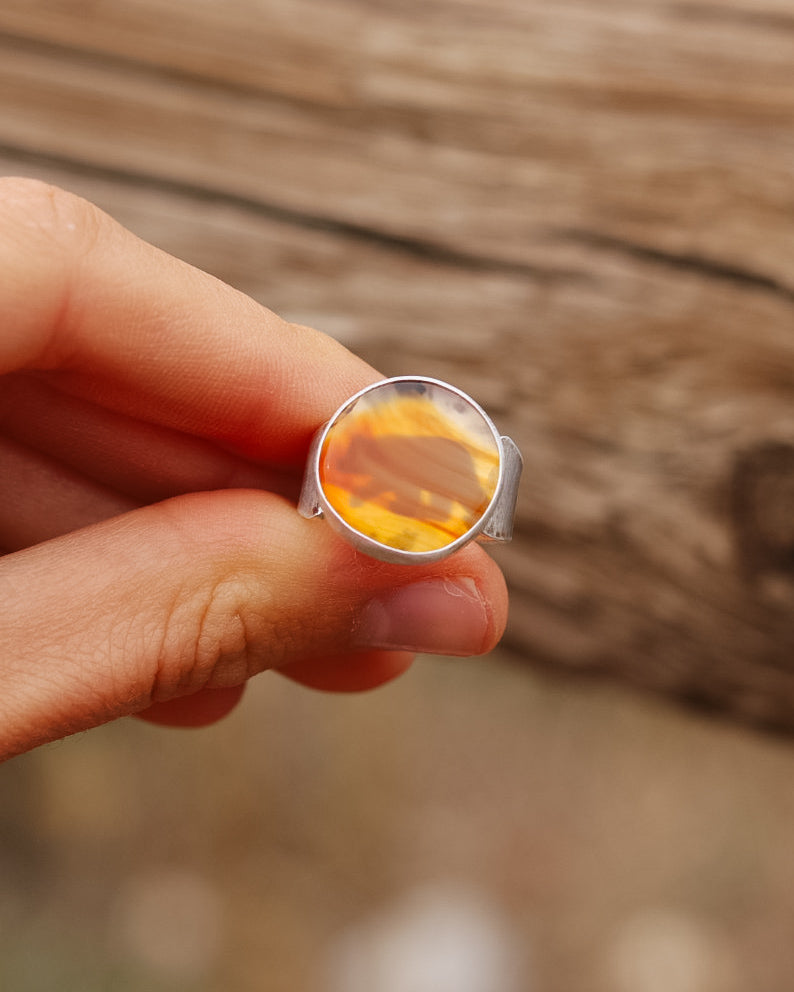 Montana Agate Bear Ring || 6