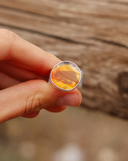 Montana Agate Bear Ring || 6