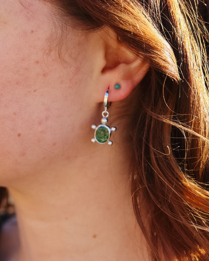 Sonoran Gold Turquoise Turtle Huggie Hoop Earrings