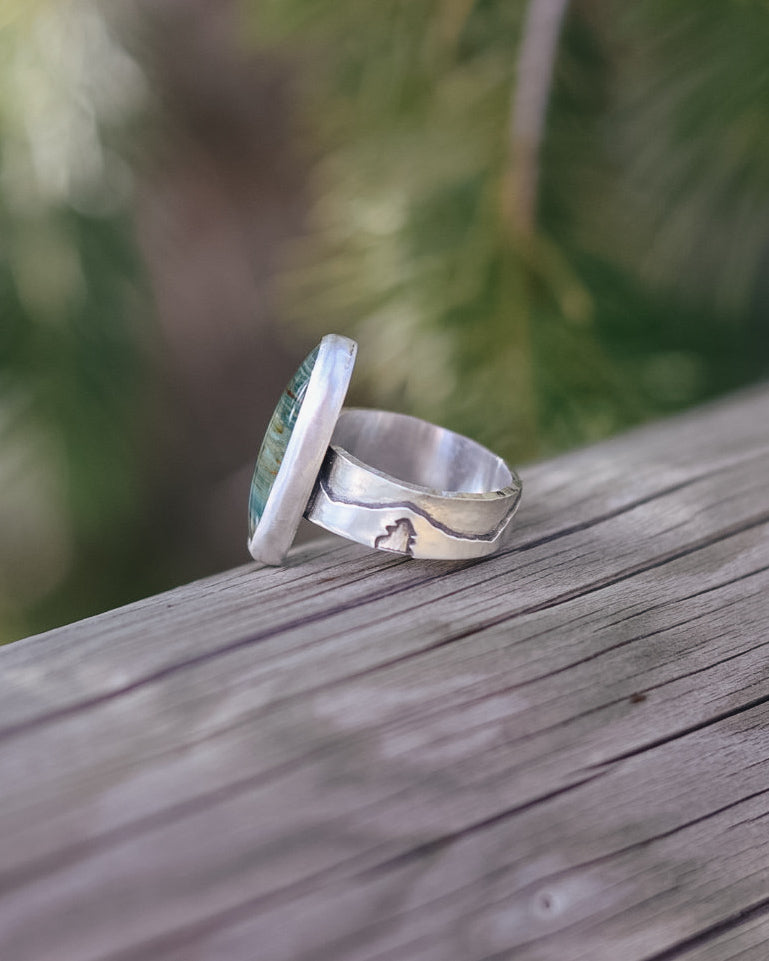 Gary Green Jasper Mountain Ring || 6.5-6.75