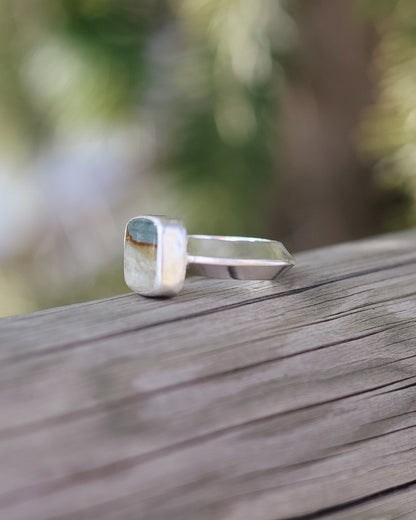 Succor Creek Jasper Ring || 8