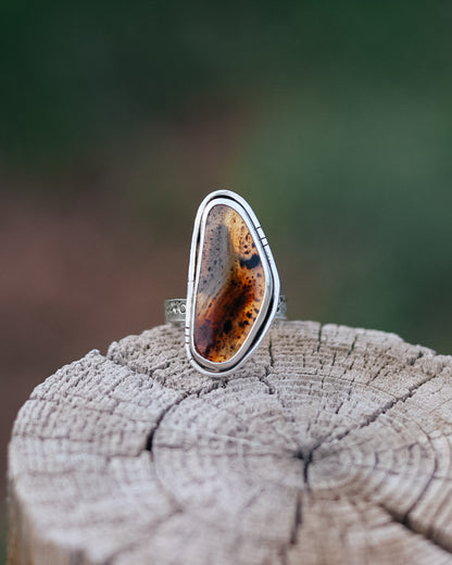 Montana Agate Trout Ring || 10