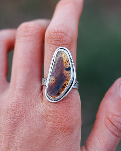 Montana Agate Trout Ring || 10
