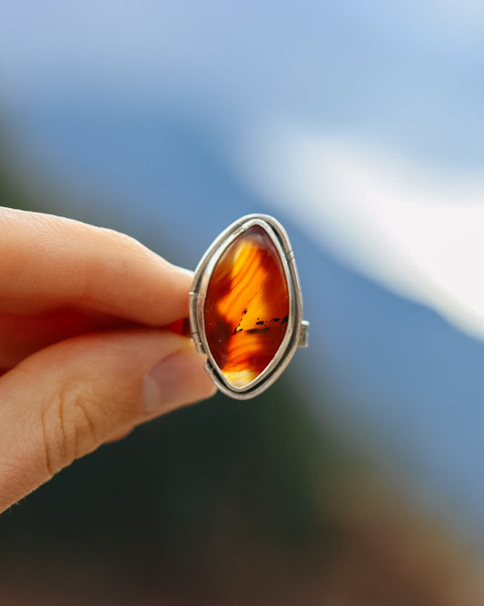 Montana Agate Trout Ring || 8