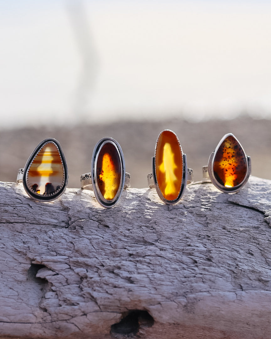 Montana Agate Trout Ring || 8