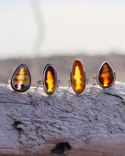 Montana Agate Trout Ring || 8
