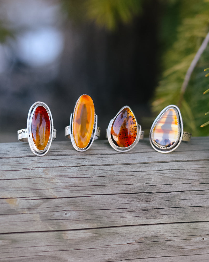 Montana Agate Trout Ring || 6.5