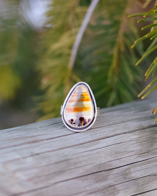 Montana Agate Trout Ring || 8.5