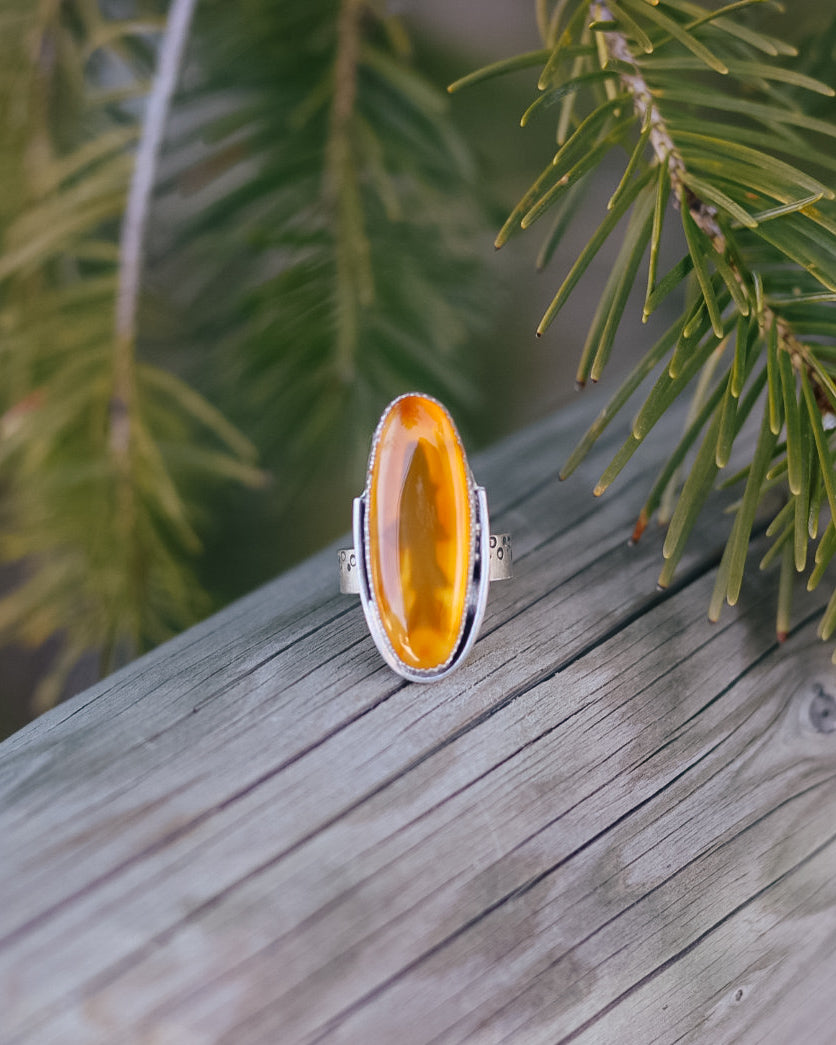 Montana Agate Trout Ring || 6.5