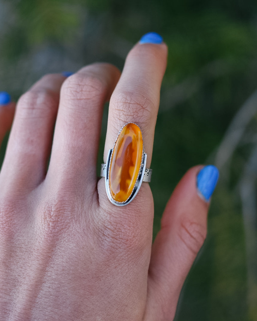 Montana Agate Trout Ring || 6.5