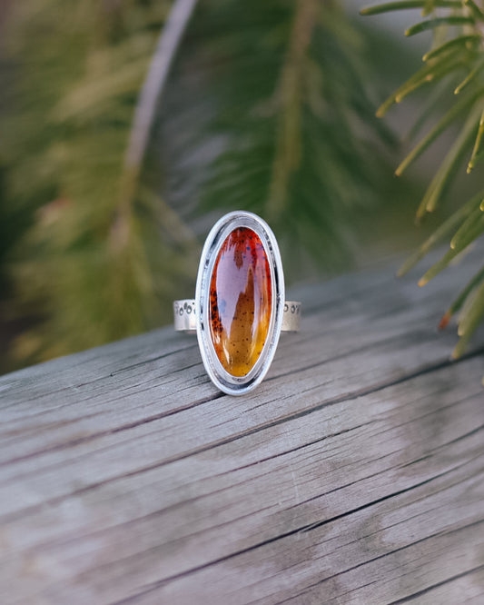 Montana Agate Trout Ring || 8