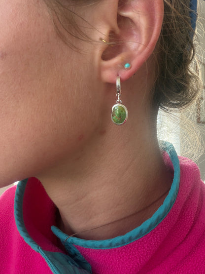 Verde Valley Huggies