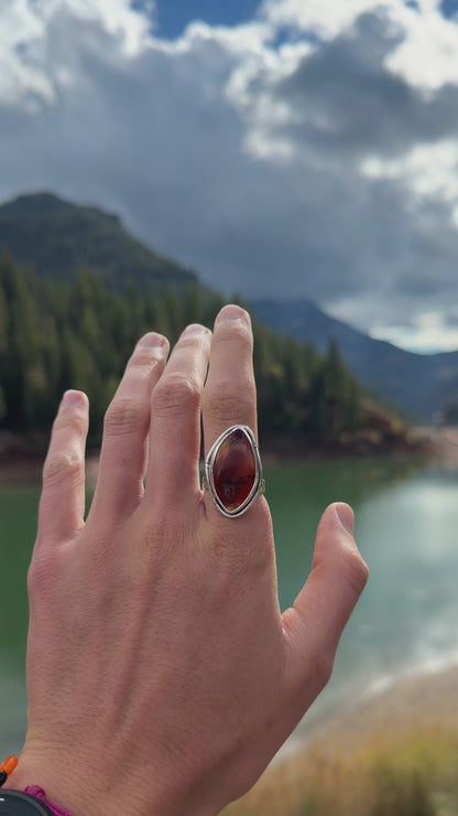 Montana Agate Trout Ring || 8